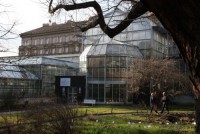 /album/fotogalerie-botanicka-zahrada-uk-praha-venkovni-a-sklenikova-expozice/botanicka-zahrada-prirodovedecke-fakulty-univerzity-karlovy2-jpg/